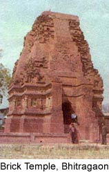 Brick Temple, Bhitragaon