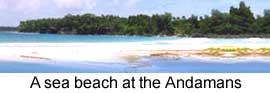 Beach at Andaman