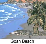 A Goan Beach